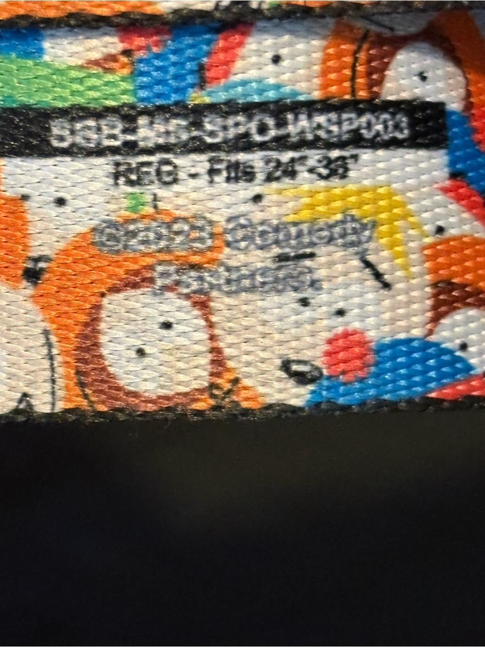 Buckle-Down South Park seatbelt belt size Regular 24”-38” - Picture 6 of 6